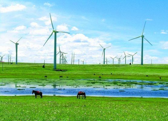 Offshore Wind Power Tower Fabaricated w oparciu o wymagania